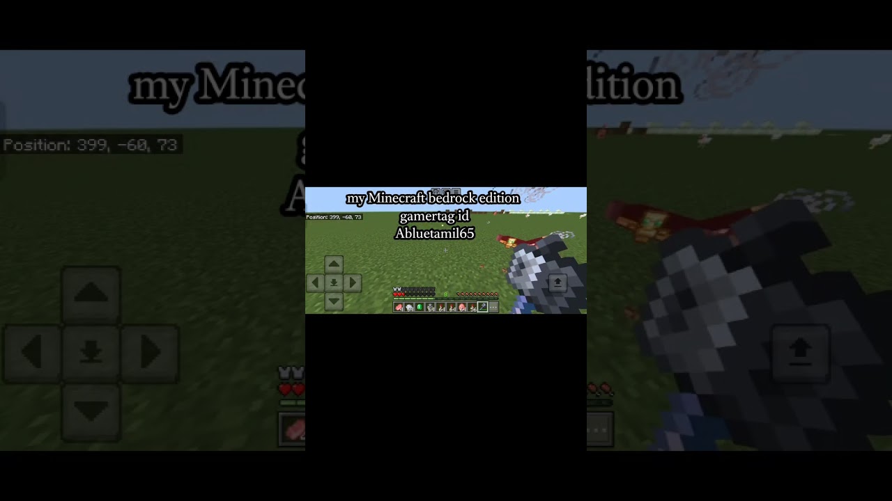 Minecraft Mace + Elytra vs Evokers 😲