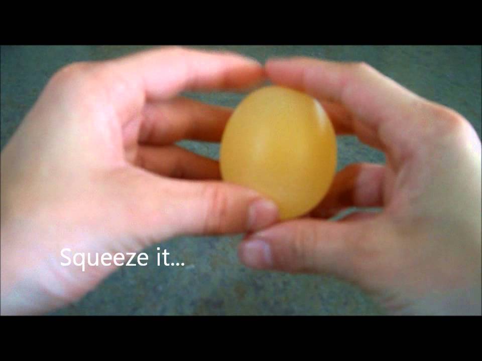 egg in vinegar experiment
