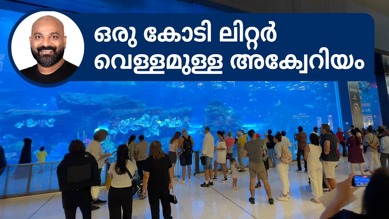ഒരു കോടി ലിറ്റർ വെള്ളമുള്ള അക്വേറിയം | Exploring Dubai Aquarium & Underwater Zoo | Shaan Geo Stories