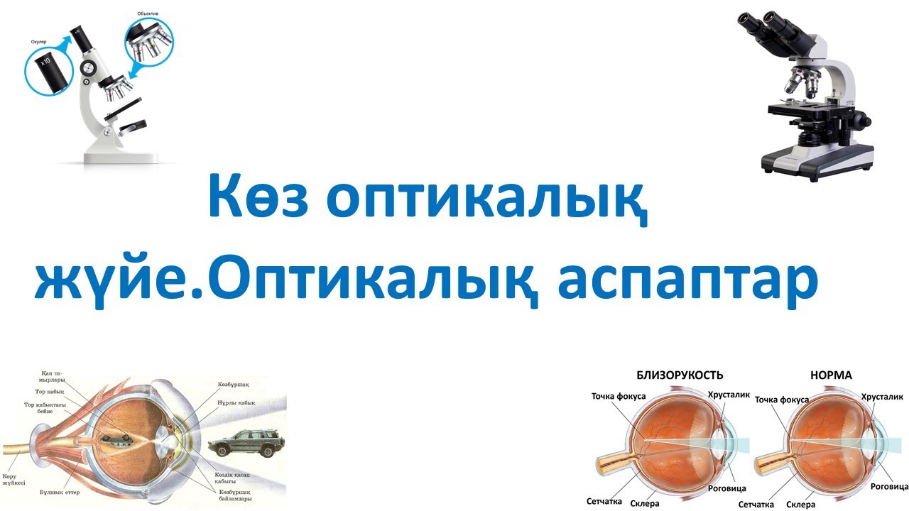 Көз оптикалық жүйе.Оптикалық аcпаптар