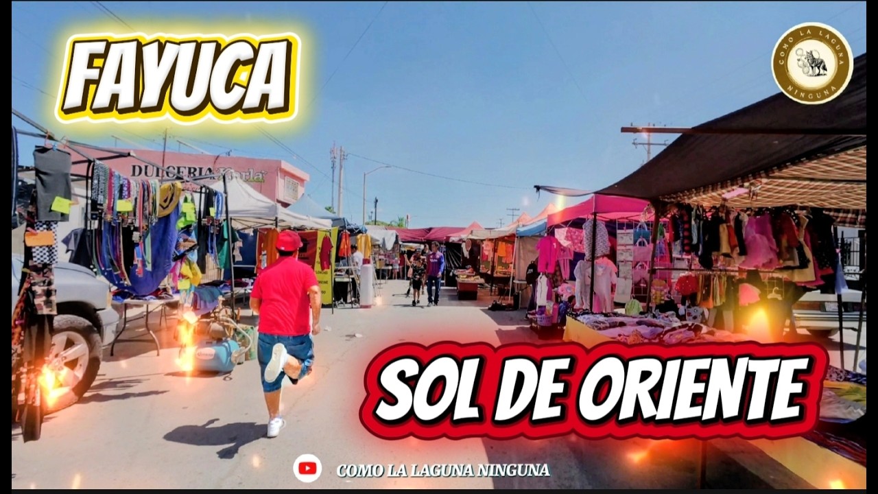 FAYUCA SOL DE ORIENTE: UN PARAISO DE GANGAS Y VARIEDAD, DIVERSION GARANTIZADA