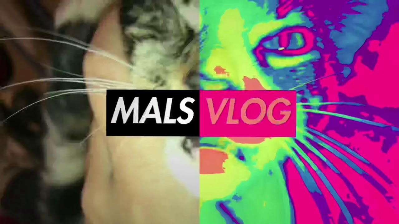 how to open up a coconut the right way YALL WILL NEVER GUESS WHAT WAS INSIDE