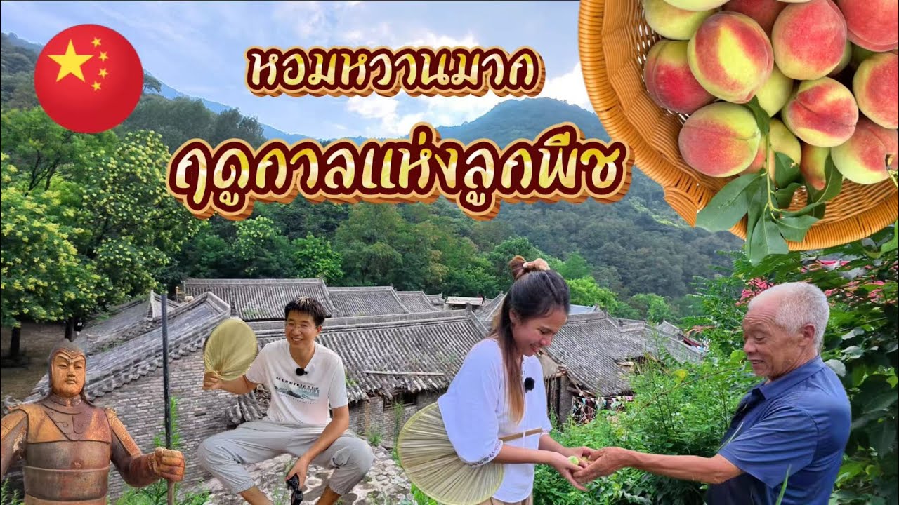 ชีวิตในจีน EP.16 l เก็บลูกพีชในสวน เดินเล่นชมเขา แวะลำธาร