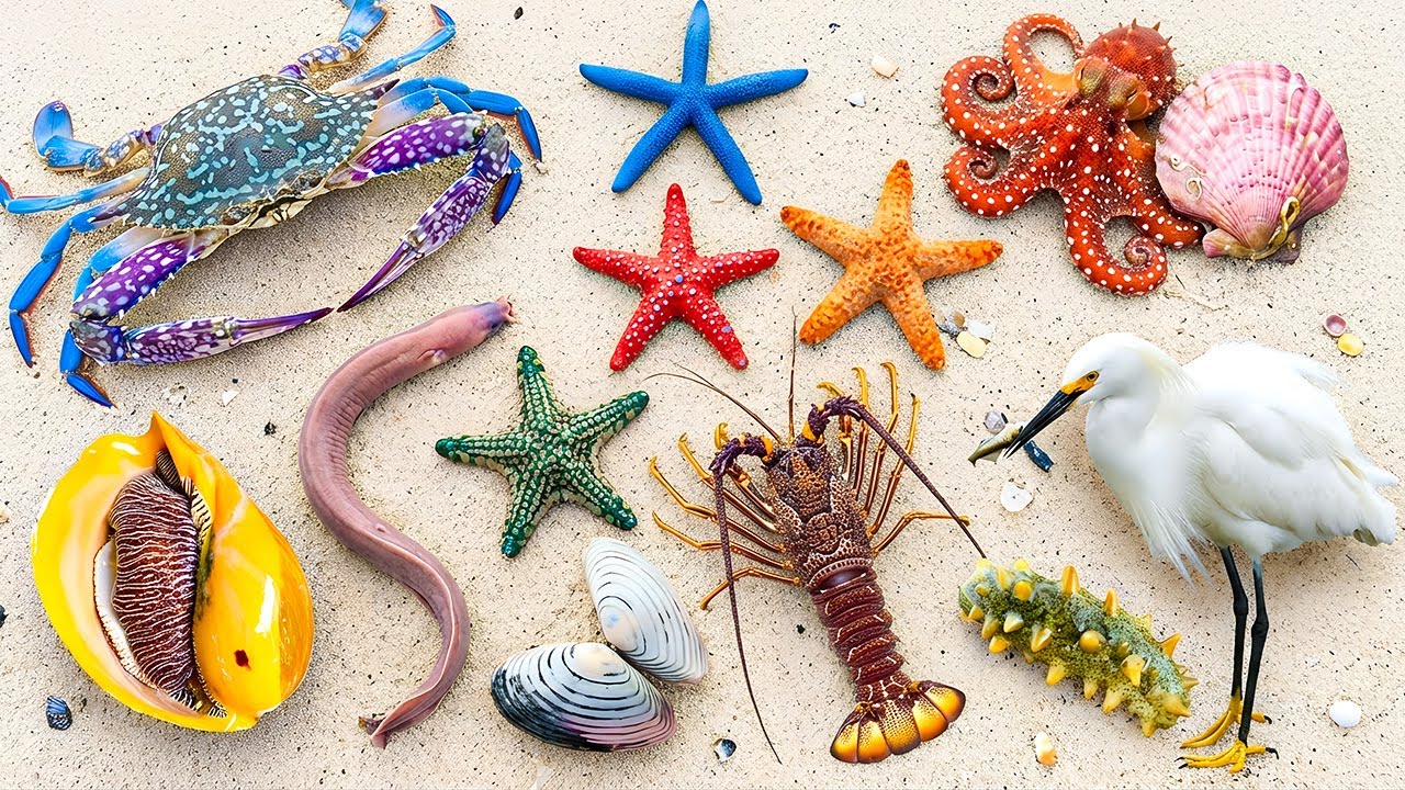 🌊 Прибрежная добыча: 🕊️ Белая цапля, 🐙 Осьминог, 🦞 Омары, 🐍 Угорь, 🦀 Грязевой краб, 🪸 Морской огу...