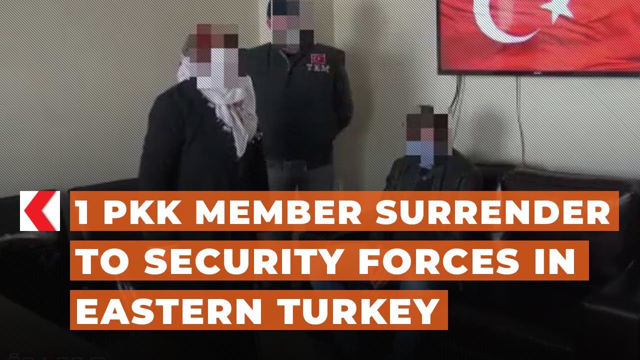 1 PKK member surrender to security forces in eastern Turkey