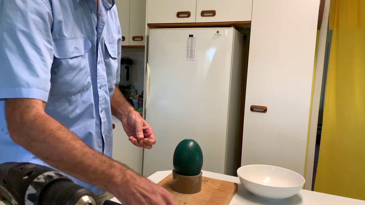 Opening an Emu Egg with a Tyre Pump Behind the Scenes