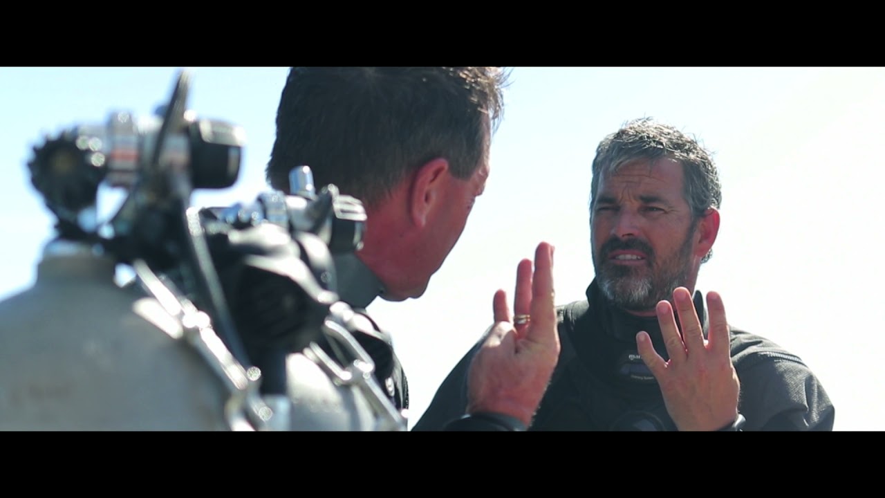 Become an SSI Dive Professional