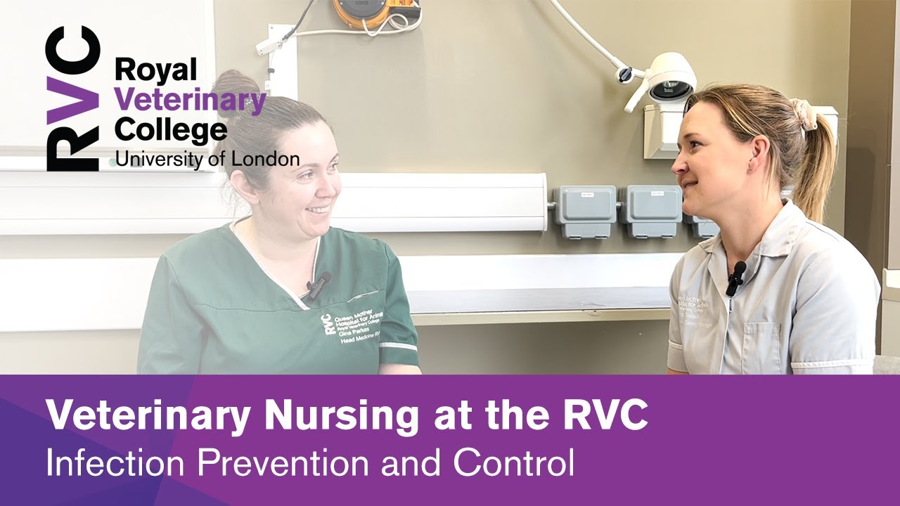 Infection Prevention and Control Interview