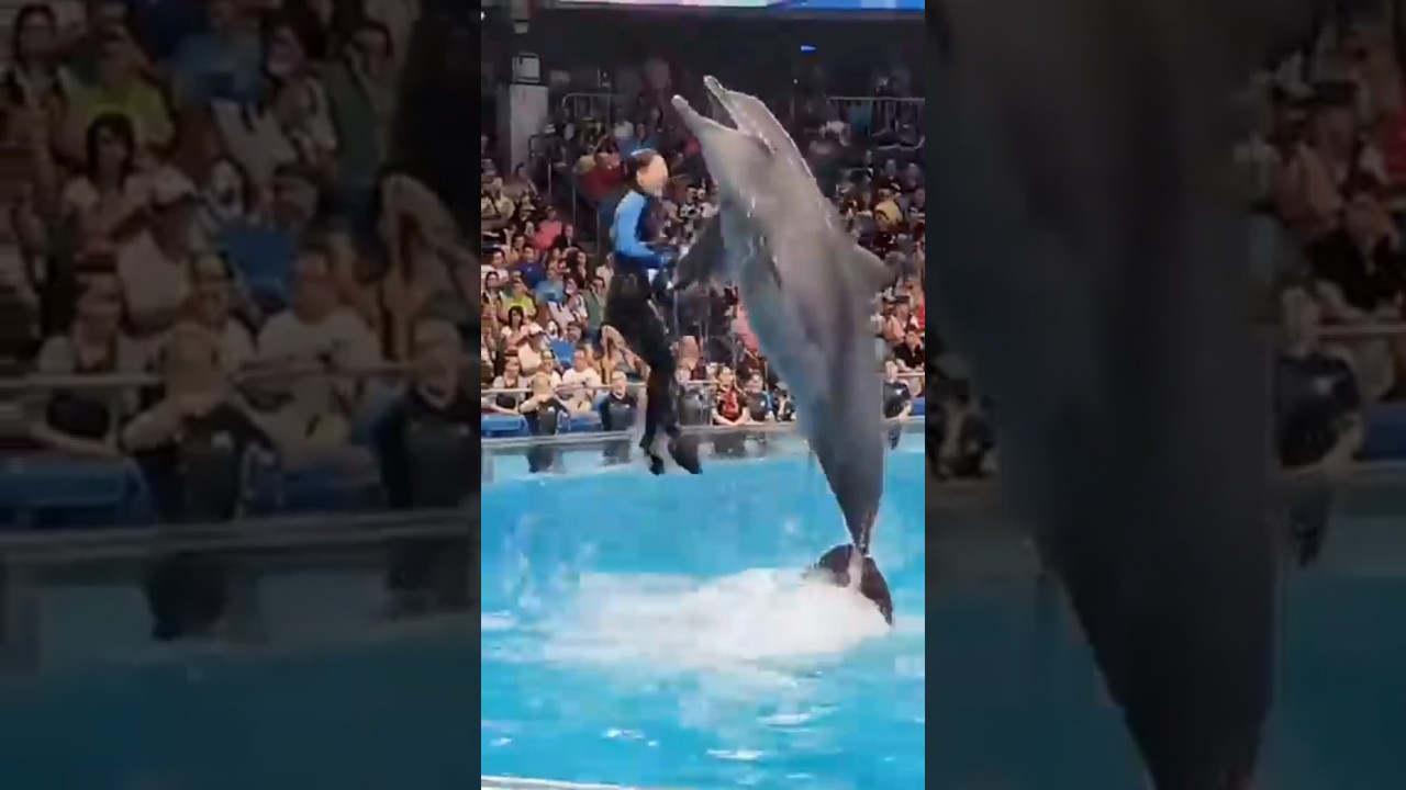 Jessica and her Orca #reels #shortvideo #jessica