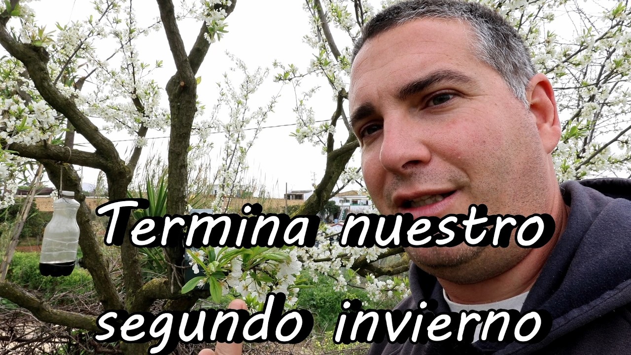Lo aprendido de este INVIERNO #114