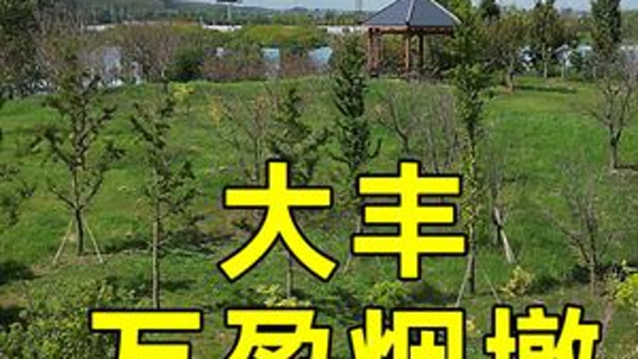 大丰万盈烟墩遗址，清代海防与海岸东移的见证者