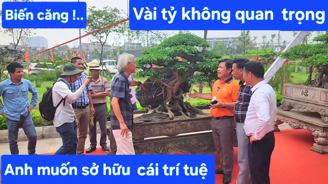 Dũng coca gật đầu là mất cây !..Gã đầu bạc chơi lớn luôn