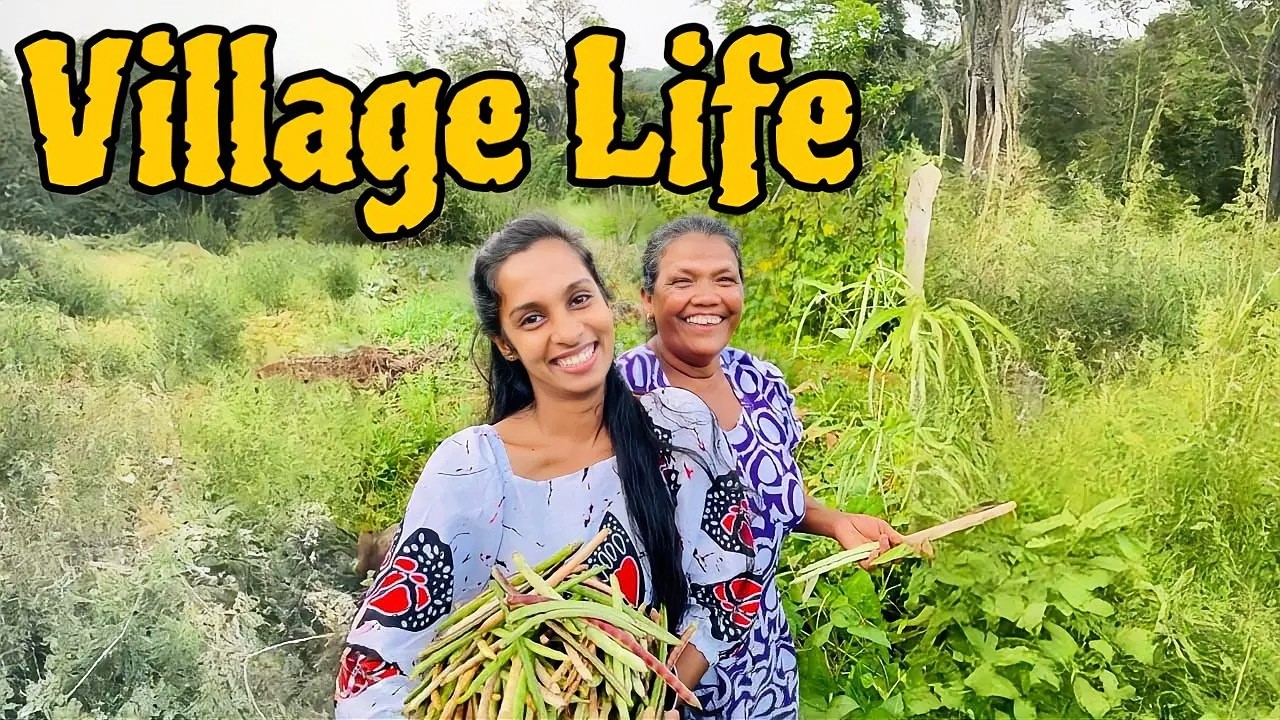 ගමේ ගත කරපු අවසන් දවස් දෙක 🥺|  Our Village JANATHAPURA  #cookwithchavi #vlog