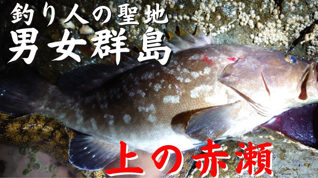 【男女群島2021】驚愕❕❕八女瀬、上の赤瀬、HIT連発❕❕
