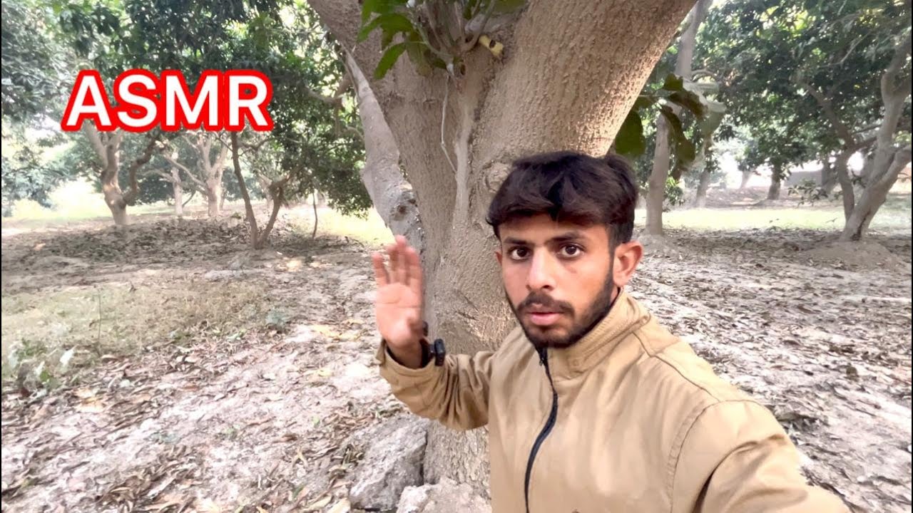 ASMR 5 Minutes Tree Massage 💆‍♂️