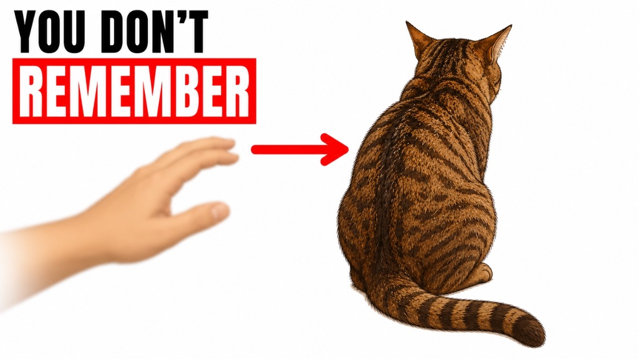 Your Cat Has Already Started Pulling Away From You &mdash; And You're Missing Every Sign