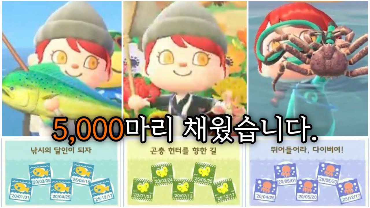 [모동숲ㅣ일상] 이게 5년이나 걸릴 일?! 채집활동 스탬프 드디어 올클!! (본텐도)ㅣep.10