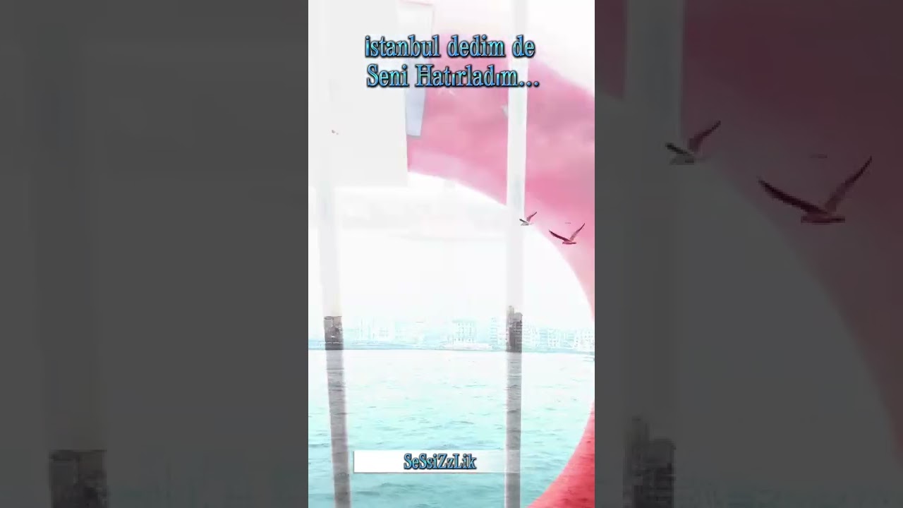 İstanbul dedim de seni hatırladım // Ümit Yaşar Oğuzcan// SeSsiZzLik