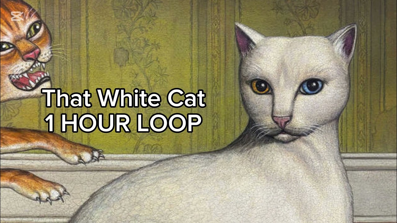 1 HOUR LOOP - That White Cat (Mitski) 