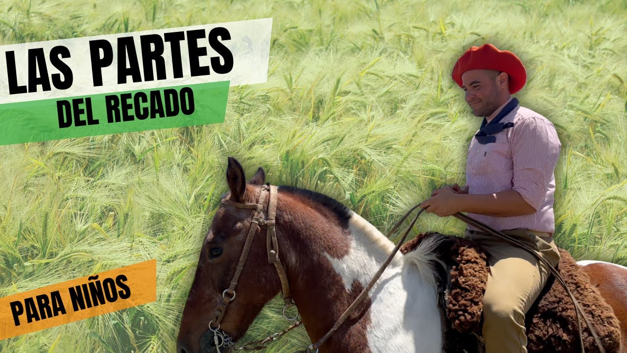 LAS PARTES DEL RECADO (INFANTIL)