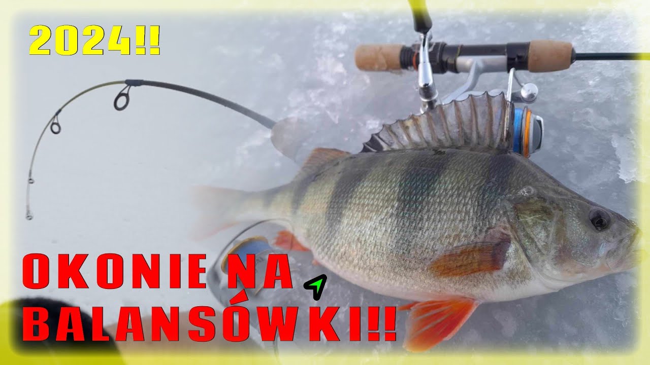 Okonie na Balansówki!! | Sezon podlodowy 2024!! | Wędkarstwo 2024!!