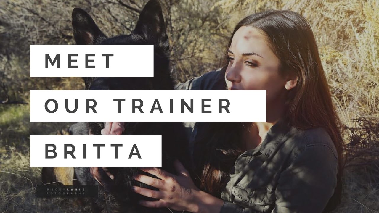 Meet Positive Pets Trainer Britta Closson
