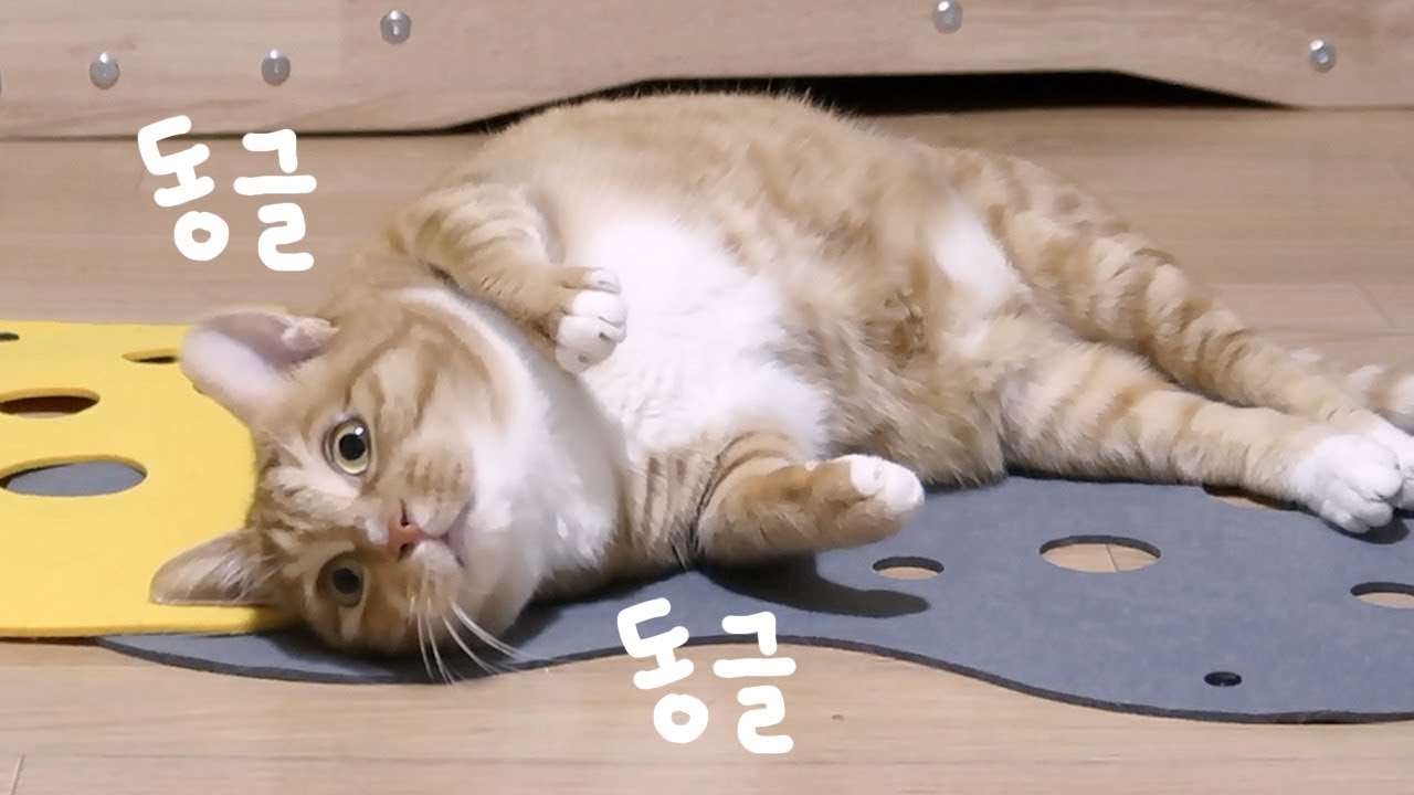 세모에서 동글이로🫧