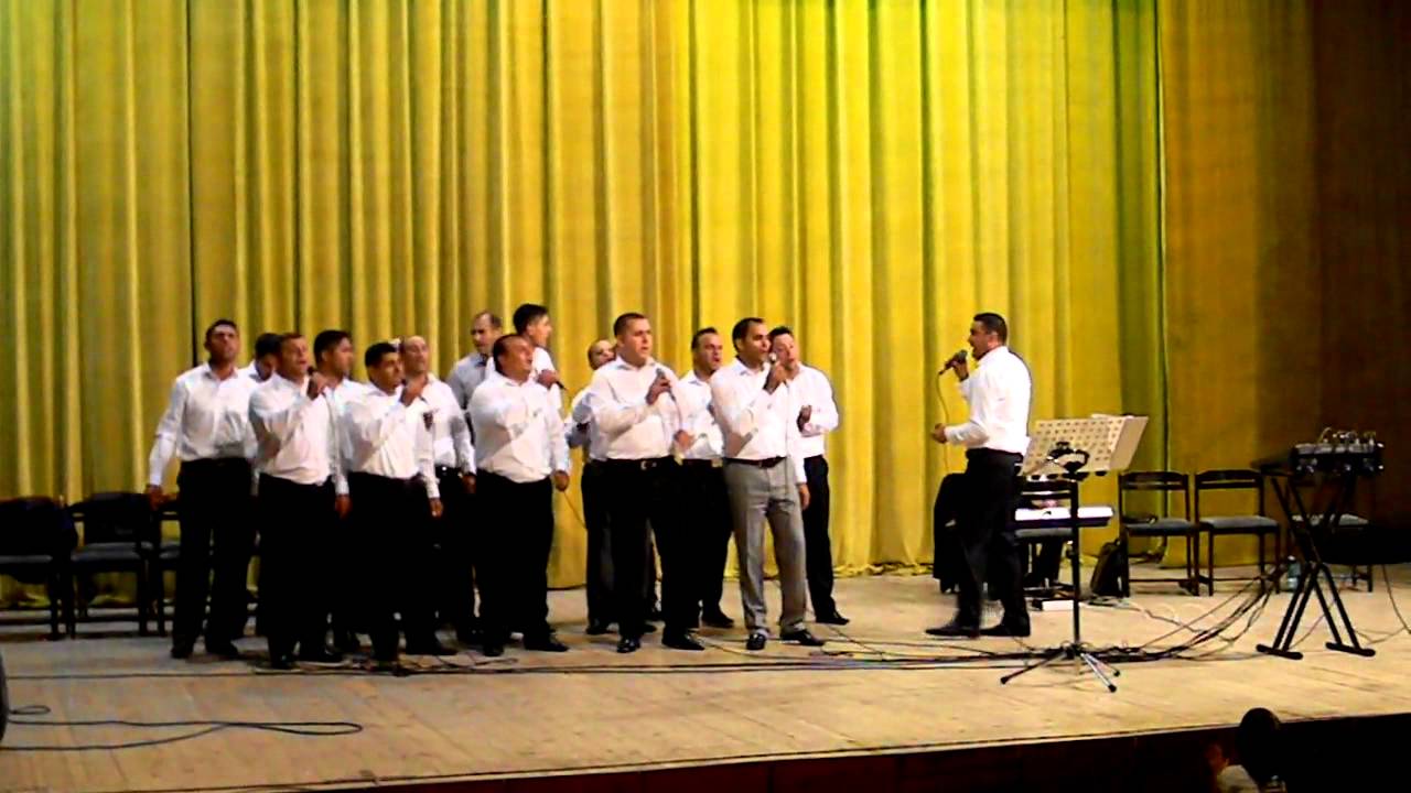 Vasile & Toflea - O carte cu sapte peceti...