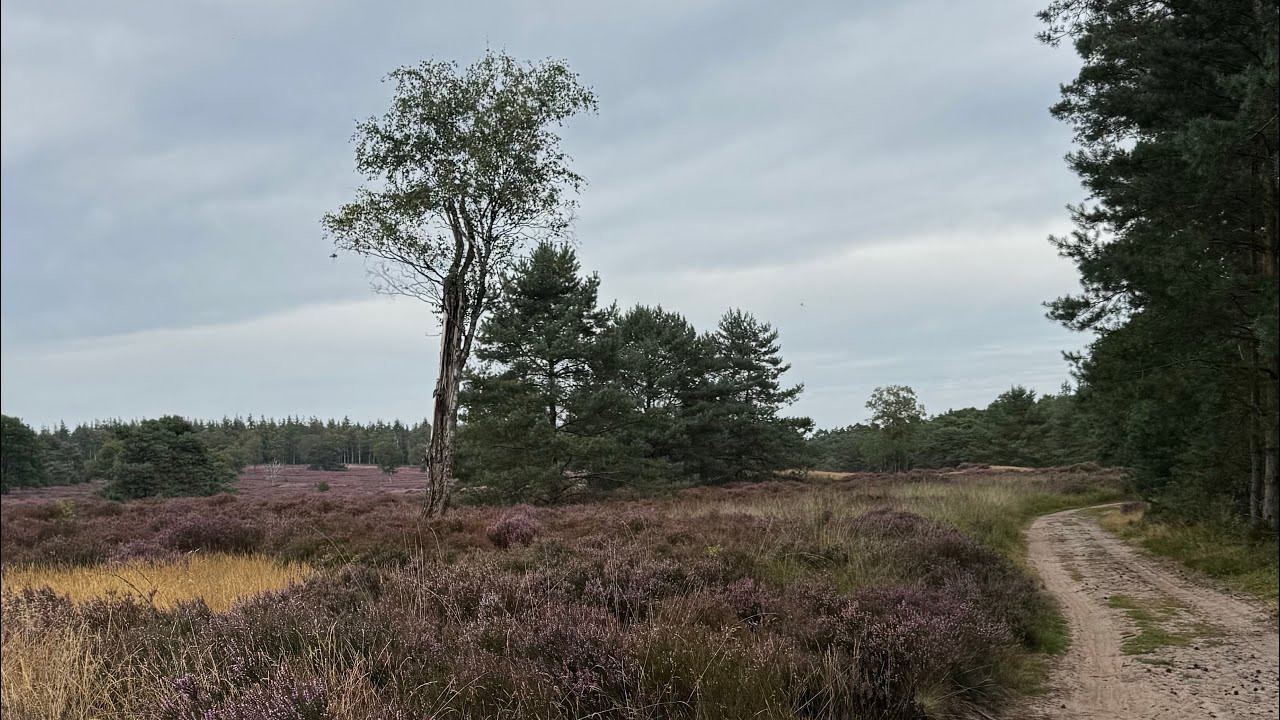 MTB route Rheden