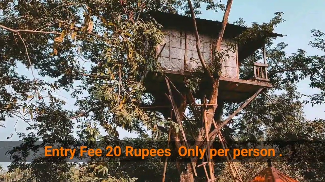 Kakoijana reserved forest is located near Abhayapuri in Bongaigaon district.famous for golden langur