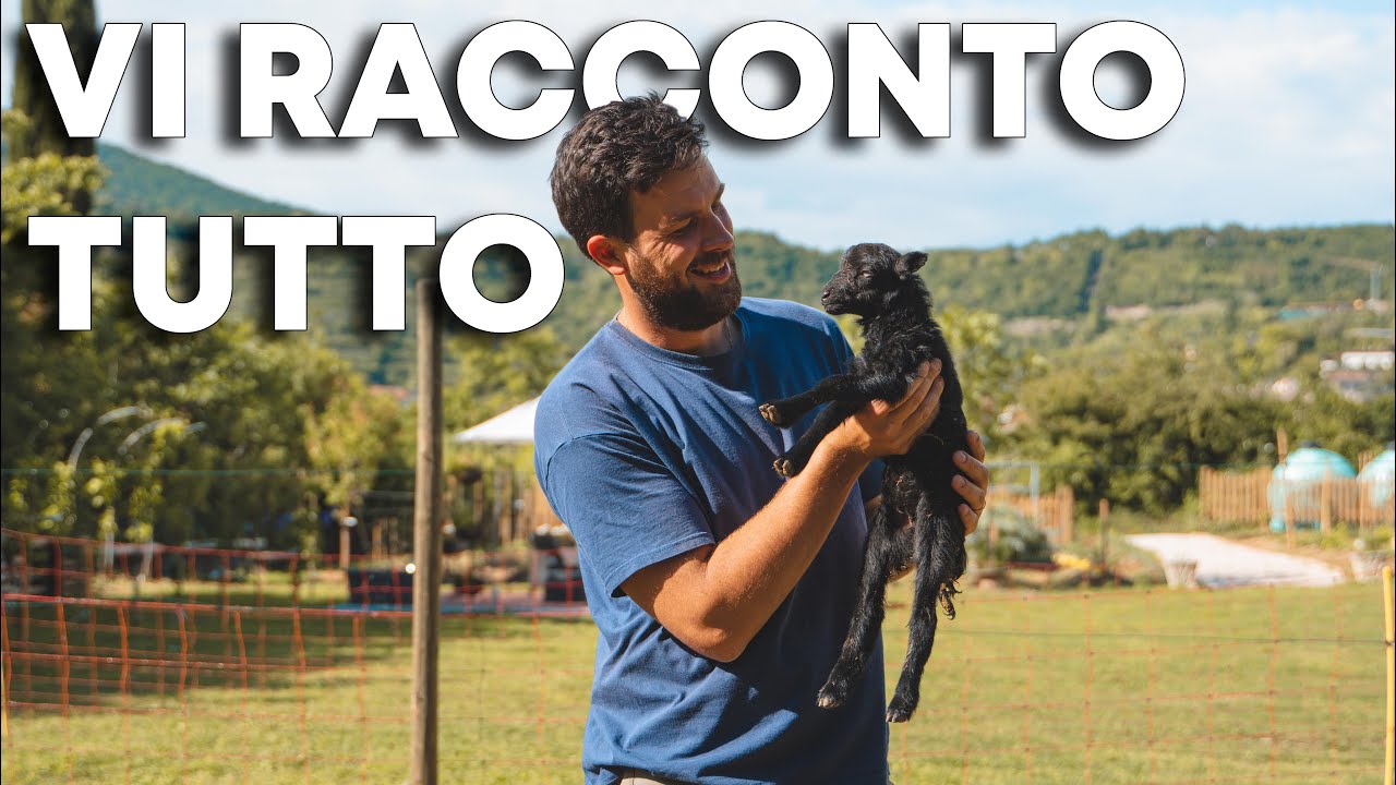 È NATO UN AGNELLINO al Podere