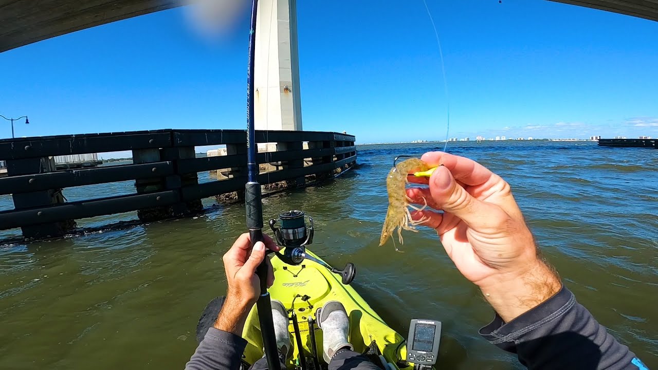 Fishing Structure with Live Shrimp