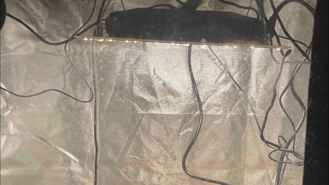 My VIVOSUN grow tent so far.( VIVOSUN E42a,VIVOSUN aerozesh s4 inline fan&hellip;etc.) 