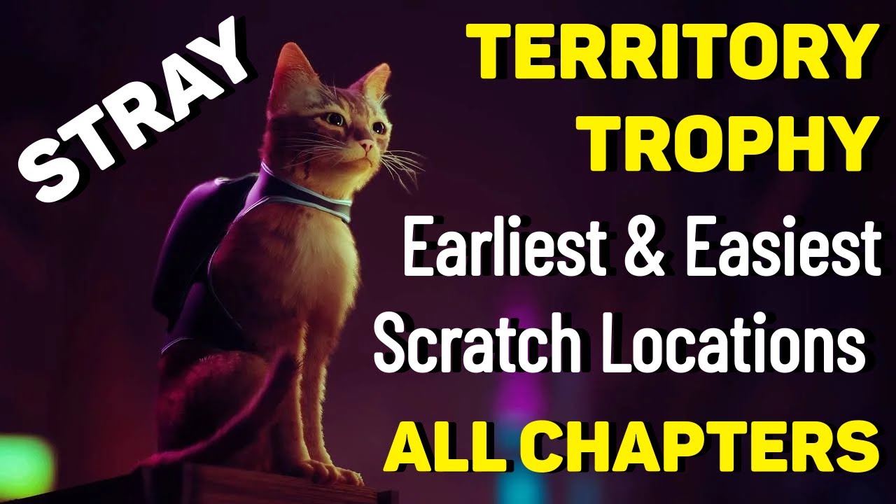 Scratch In Every Chapter - Territory Trophy | Stray