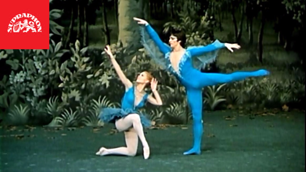 Vlastimil Harapes & Miroslava Pešíková - Primoballerino: Modrý pták / The Blue Bird