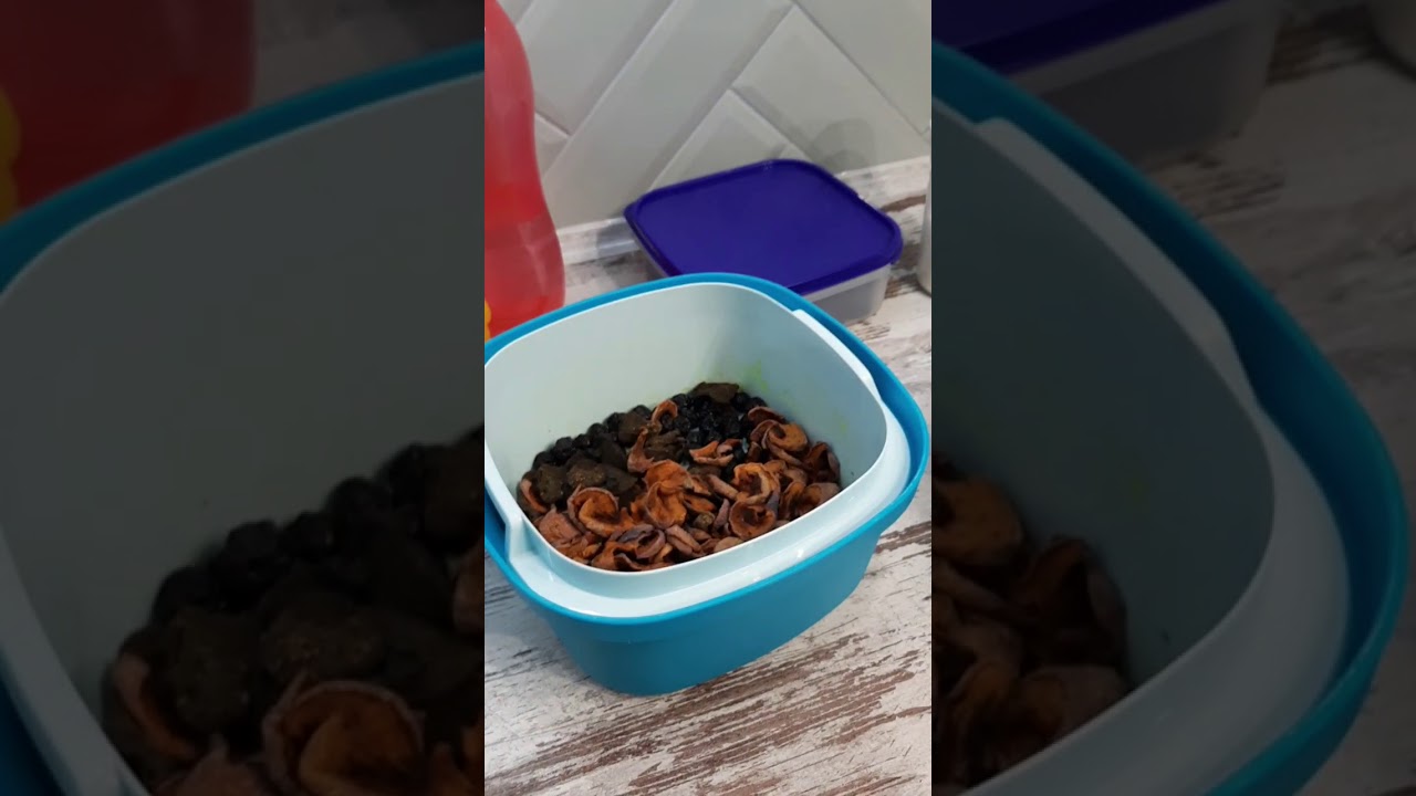 Компот из сухофруктов в Термосервирователе Tupperware