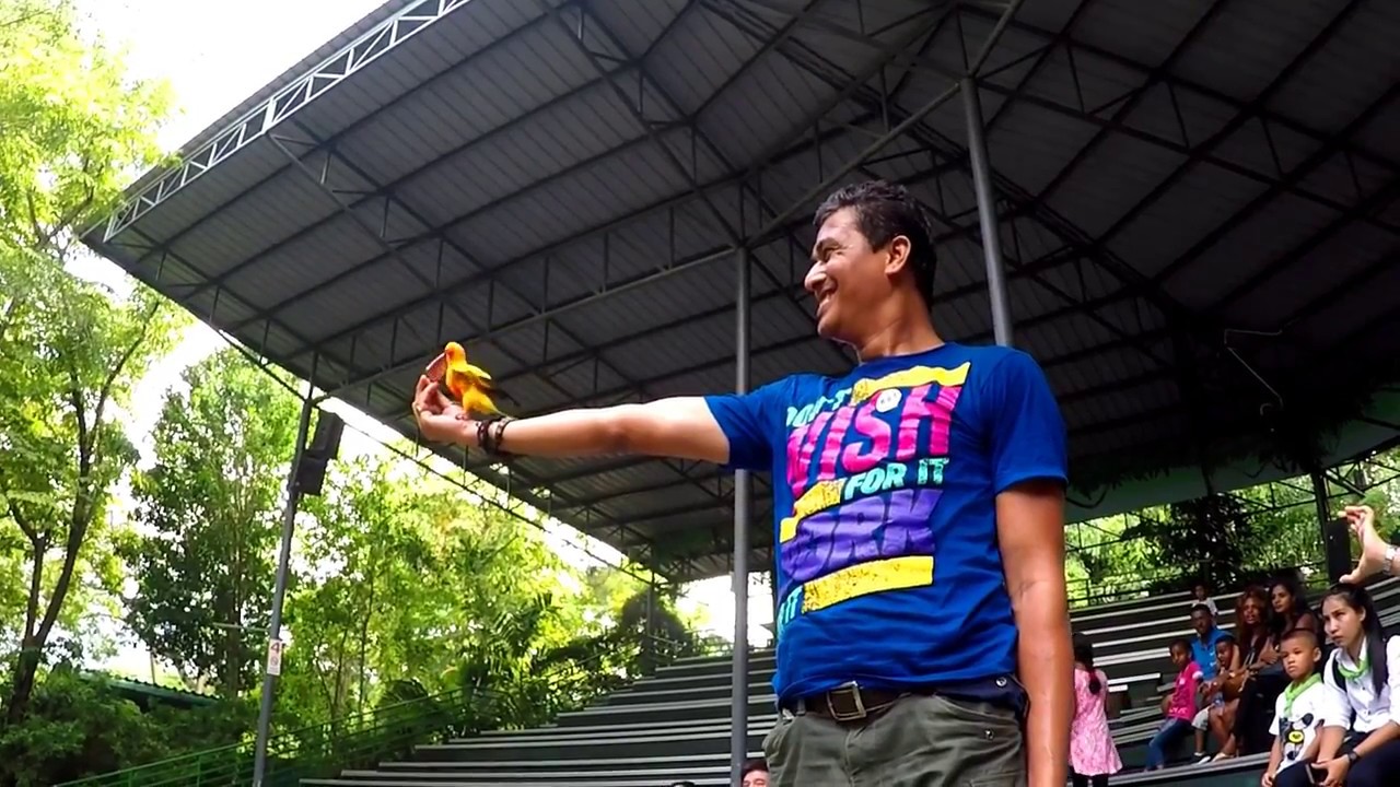 Bird Took My Money During Bird Show In Safari World Bangkok, Thailand