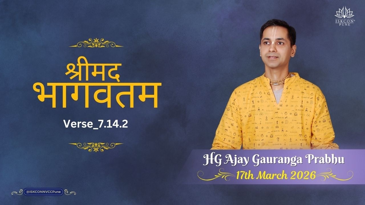 श्रीमद भागवतम_7.14.2 || HG Ajay Gauranga Prabhu || 17th March 2026 @ISKCONNVCCPune