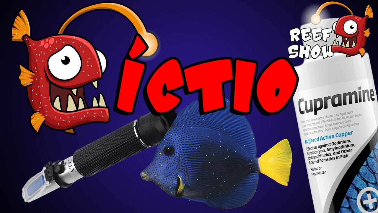 Reef Show #14 - Doenças: Íctio - Aquário Marinho