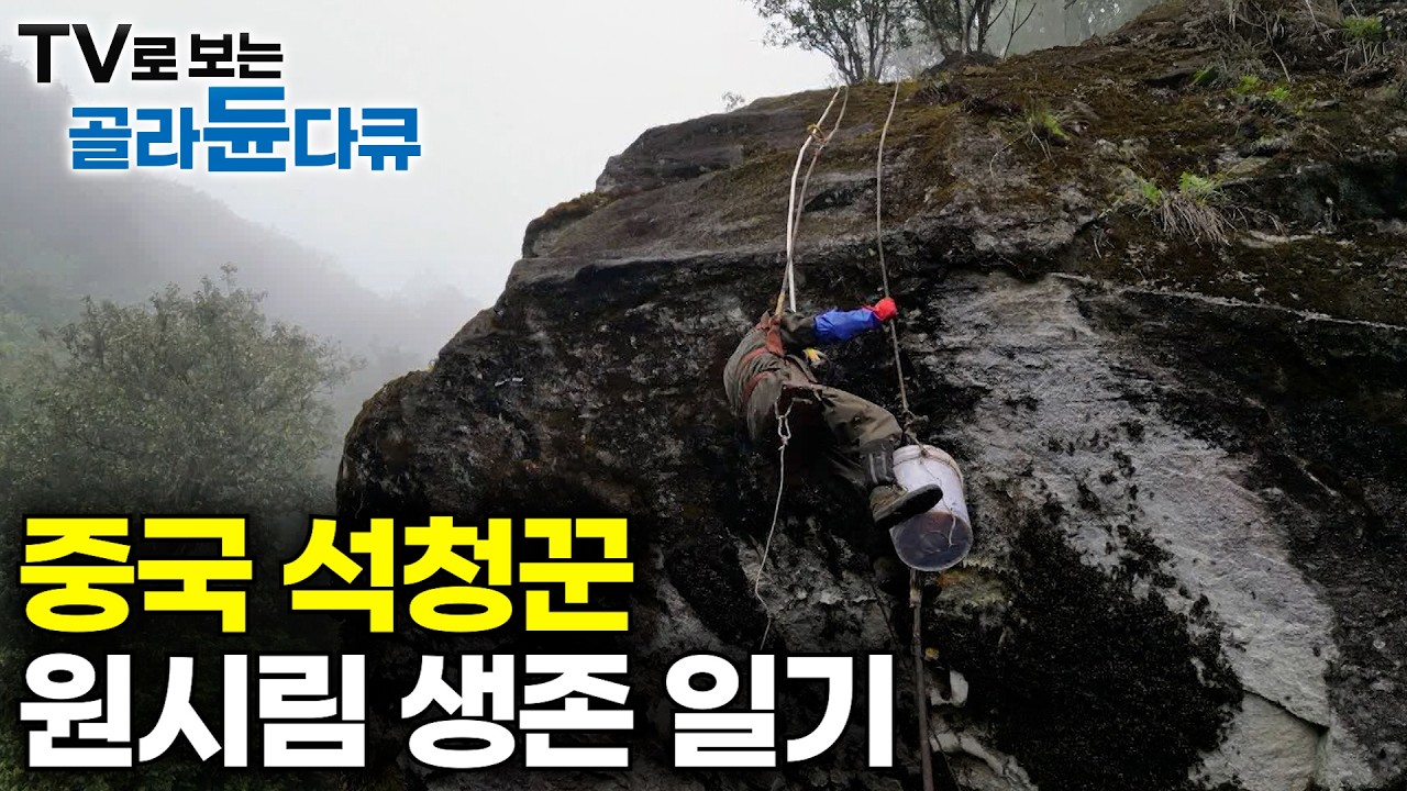 목숨 걸고 가져와야 온마을이 먹고 산다. 탈출구 없는 중국 원시림 생존 일기｜200만원 석청에 가족의 생계가 달린 중국 석청꾼의 하루｜극한직업｜#골라듄다큐
