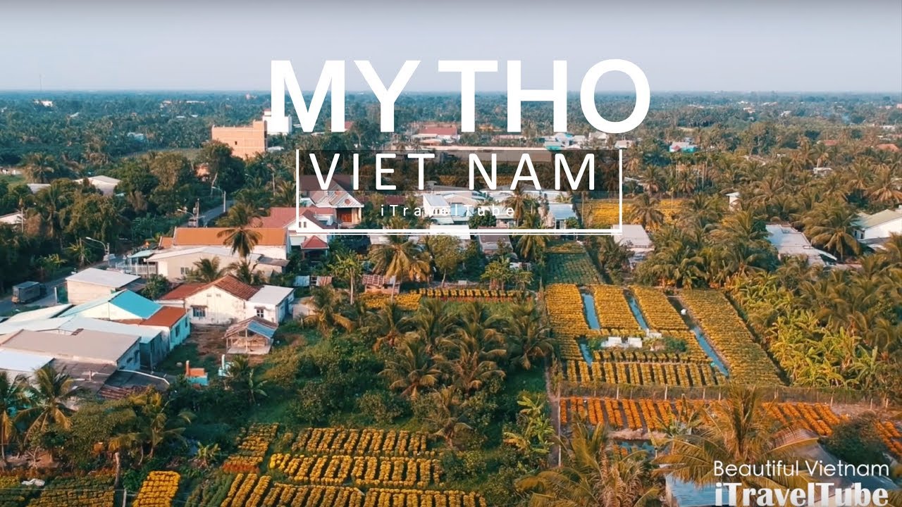 Rực Rỡ Làng Hoa Mỹ Phong (Mỹ Tho, Tiền Giang) Những Ngày Giáp Tết | My Phong Flower Village [Drone]