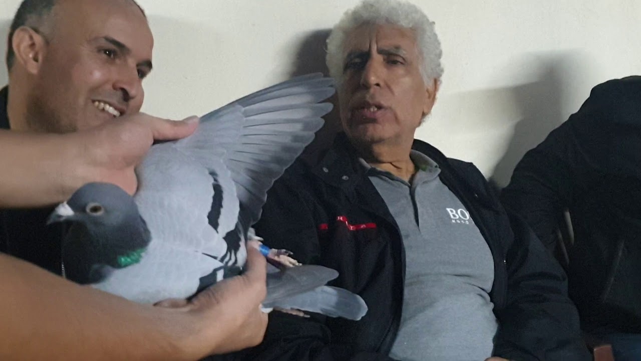 با عسول يمنح طابع الجودة لطنديم امعضور/بوجملة الموت ديال الضحك الجزء الأول