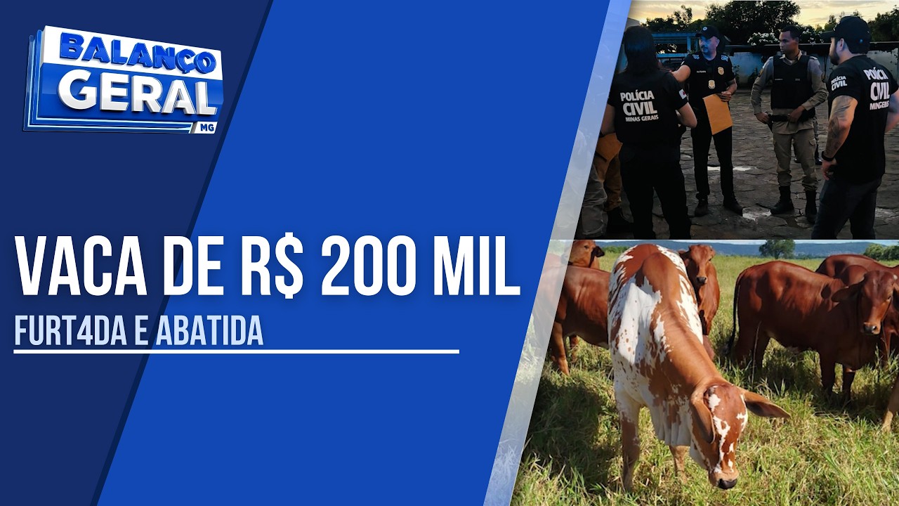 GRUPO QUE FURTOU E MATOU VACA AVALIADA EM R$ 200 MIL É ALVO DA POLÍCIA CIVIL EM ITACARAMBI