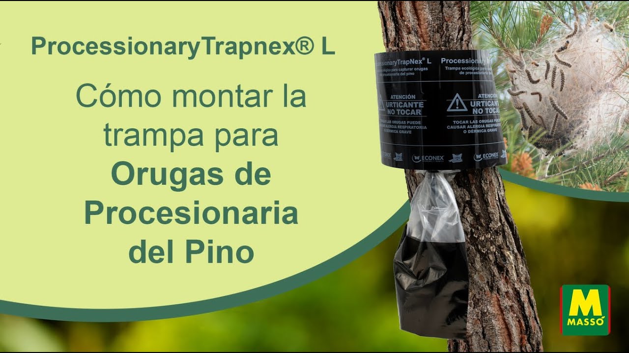 Trampa para oruga procesionaria, de Comercial Química Massó
