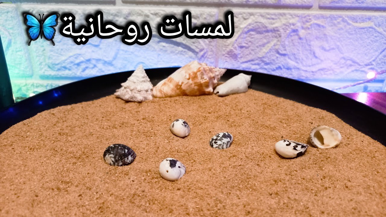 حصري خيرة بالودع لبرج القوس♐️🔥مدتها شهر من الان 🎯انوي واضمر النية وافتح الفيديو تبعك🎞💯
