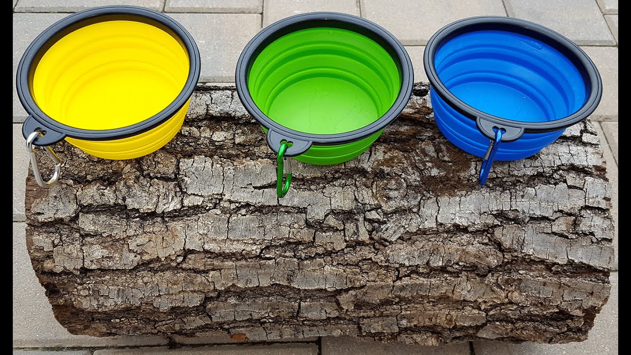 Review of the Collapsible Dog Bowl for Your Go Bag