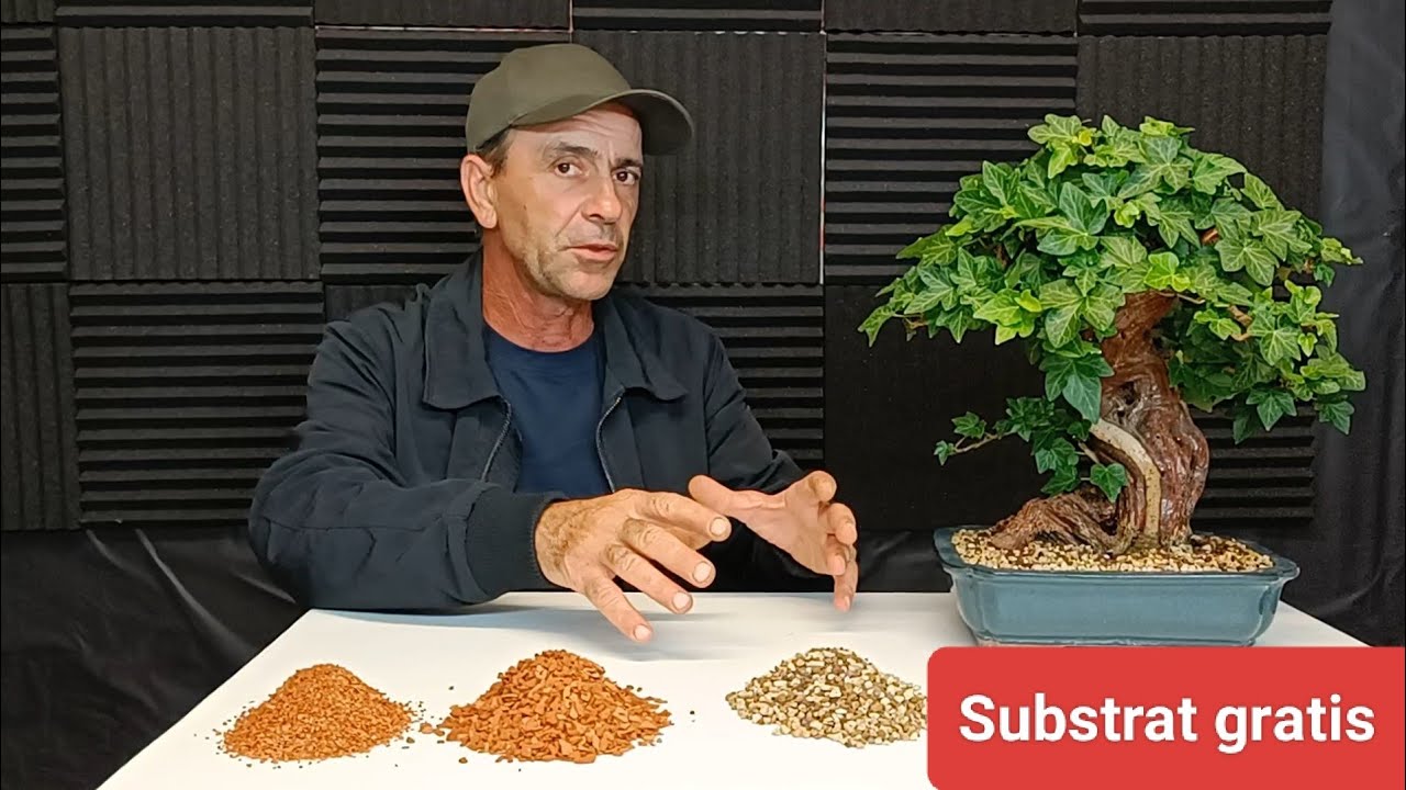Substrat Bonsai făcut acasă