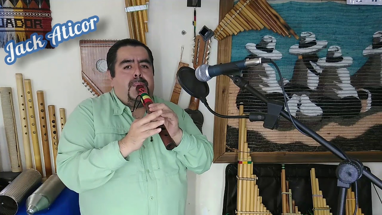 HAS VISTO ALGUNA VEZ LA LLUVIA (VERSIÓN INSTRUMENTAL ANDINO)