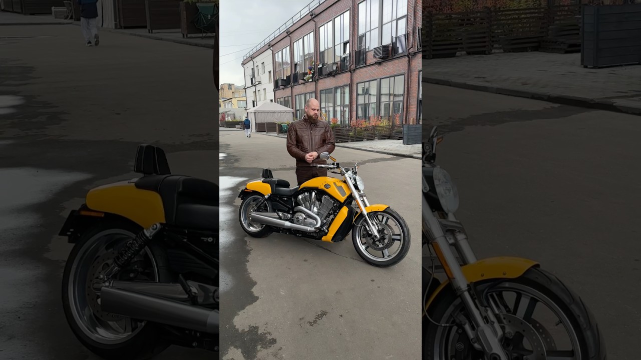 Привезли клиенту V-Rod Muscle 