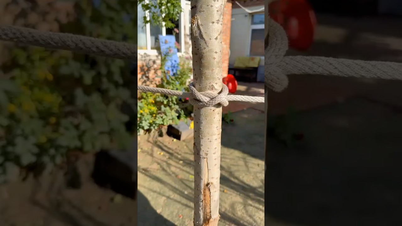 Mastering the Constrictor Knot 